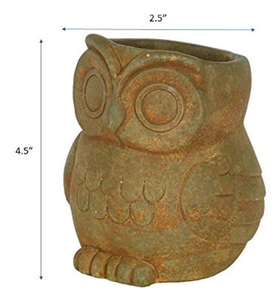 Casa Y Jardín Clásico 260006p-433 Cepillo De Búho, Pequeño, 1