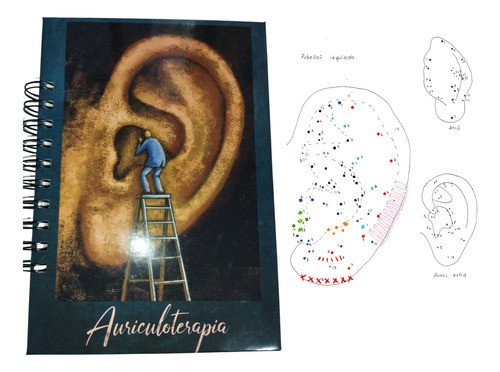 Pack De Auriculoterapia (pabellones, Láminas, Cuaderno) 1