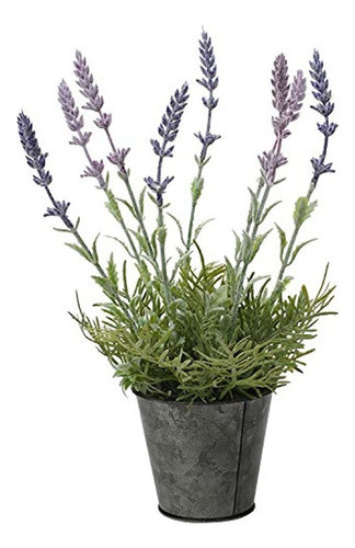 Hogar Y Cocinaproductos De Decoración Del Hogarplantas Y F 0