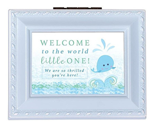 Casa Jardin Bienvenido A Mundo Pequeño Bebe Azul Ribete D 0