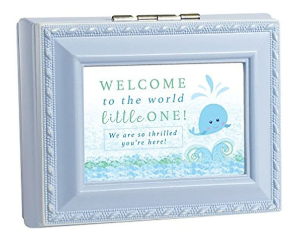 Casa Jardin Bienvenido A Mundo Pequeño Bebe Azul Ribete D 1