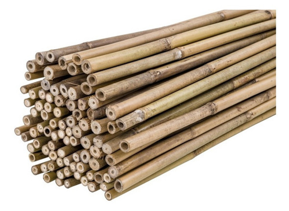 Cañas De Bambú Tutores Soporte Tomateras Enredadera150cm 10u 0
