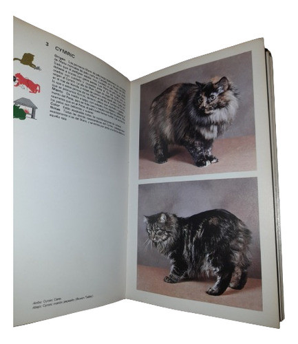 Libro Guía De Gatos 1