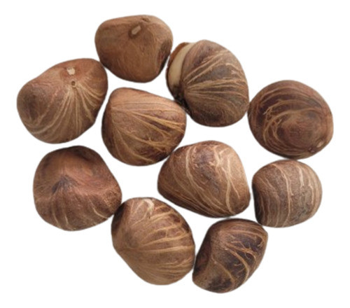 Oferta 10 Semillas De Castaño De Guyana 0