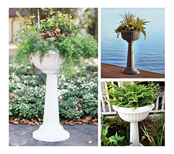 Macetero Con Pedestal Bloem Grecian Urn, 18  , Negro 1 Macetero Con Pedestal Bloem Grecian Urn, 18  , Negro 1