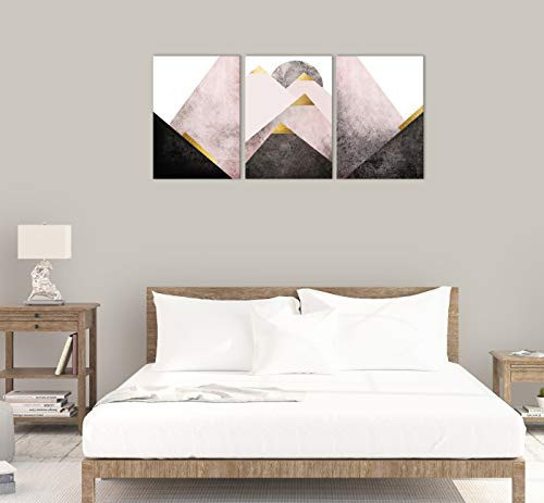 Lienzo Abstracto Moderno En Blanco Y Negro Rosa, Impresiones 1