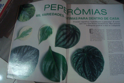 Revista Sitios E Jardins 50 / Entradas Portoes Aves Migram 0