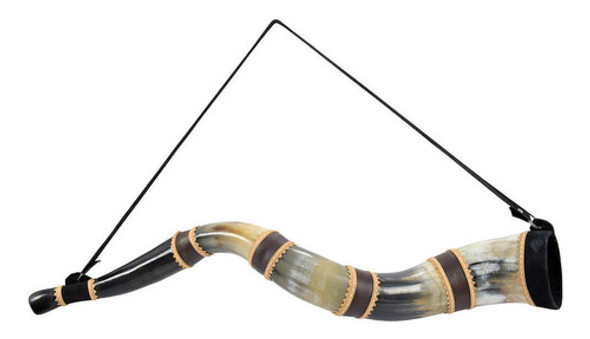 Berrante Profissional Médio 0