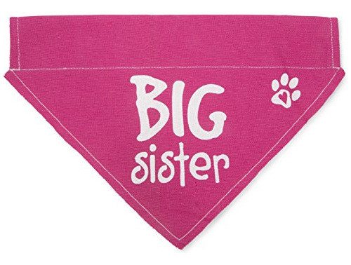 Pabellón - Estampado De Pata De Color Rosa Perro Grande En E 0
