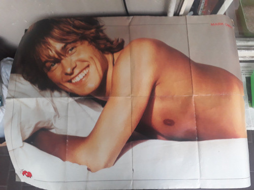 Poster Doble Brad Pitt Mark Owen Super Pop Detalles 0