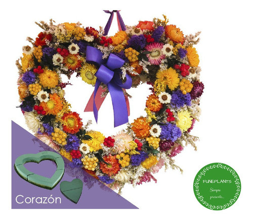 Paquete Corazón Abierto (40cm) Y Cerrado (25cm) Espuma Oasis 1