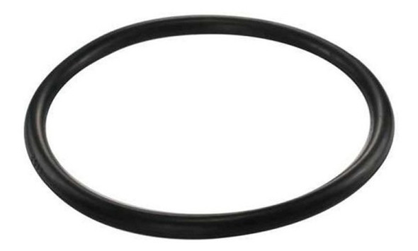 Anel Vedação Bomba De Combustível Gm S10 2.8 2009 2010 2011 0
