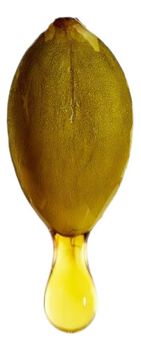 Aceite De Semilla De Calabaza Zapallo 1/2 Litro 500ml 0