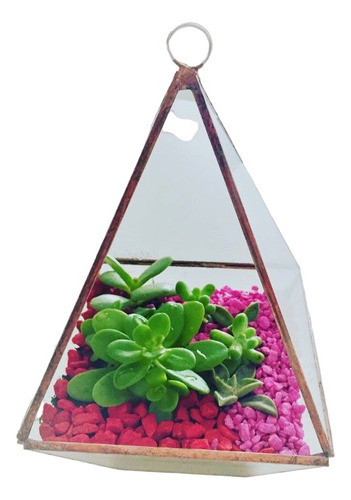 Terrario De Mesa Cactus Y Suculentas-decoración Del Hogar 0