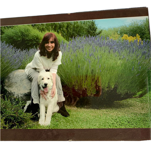 Foto Real Cristina Kirchner Enmarcada 30x24 0