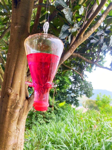 Bebedouro Vidro P/ Beija Flor E Pássaros 600ml + Cx Néctar 0