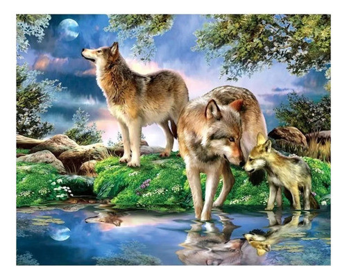 Kit De Pintura Diamantes 40x30 Lobos 0