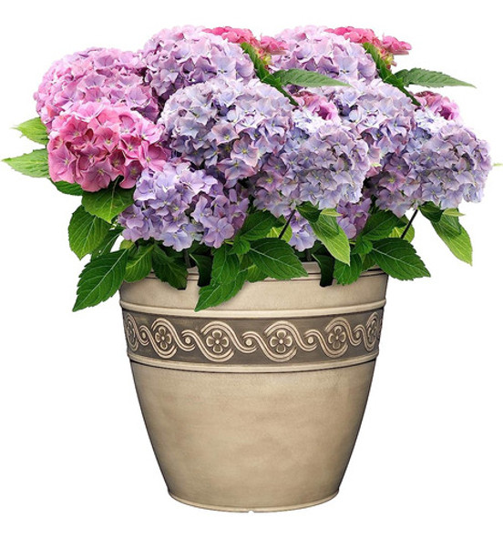 Casa Y Jardín Clásico 9411d-060 Jardinera Redonda Corintia, 1