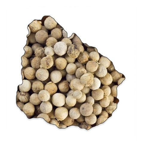 Pimienta Blanca En Grano - Excelente Calidad - 500g Envio 0