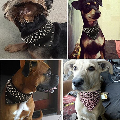 Didog Bufanda De Estilo Bandana De 2  De Ancho Con Cuello De 1