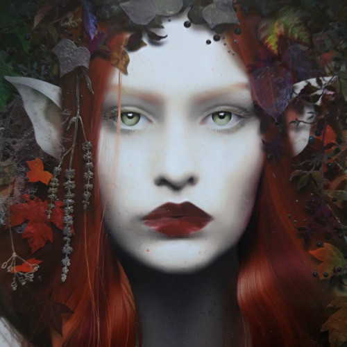 Vidente Asesor A.t 0