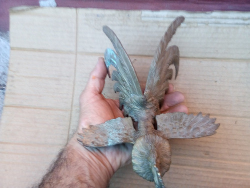 T- 22,5 X 17,8 X 11,1 Alto 1