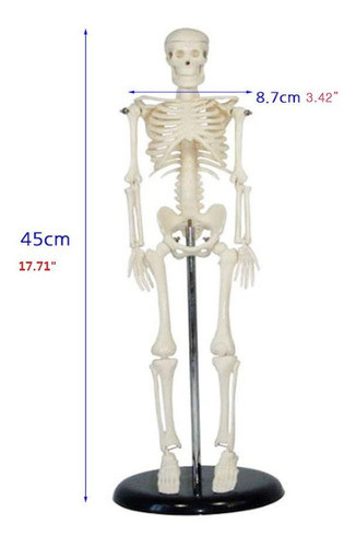 Esqueleto Mini, Material Didactico Para Enseñanza, J3c119103 0