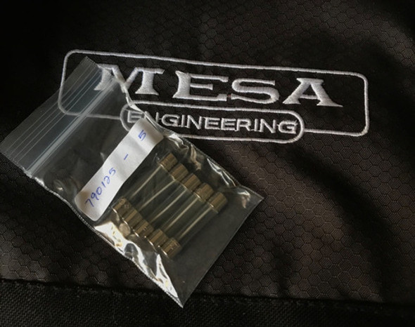 Fusível Slo-blo 1.25a 250v Original Mesa Boogie Mark V 25 0