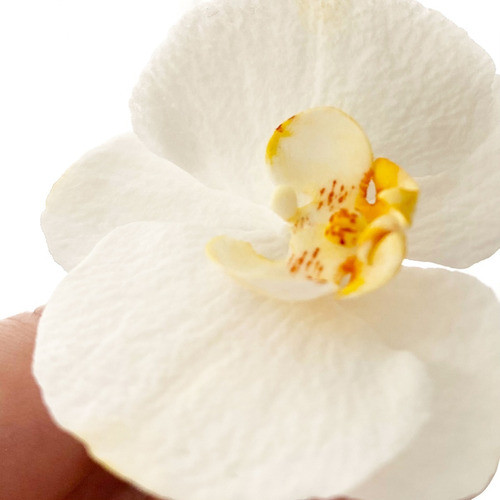 Cortante Orquídea Mediana Y Chica Cód. 089 1