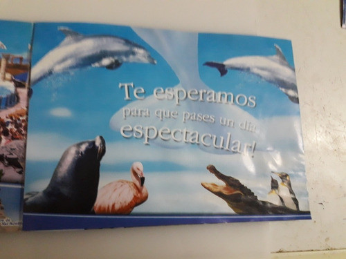 Folleto Mar Del Plata Aquarium 1