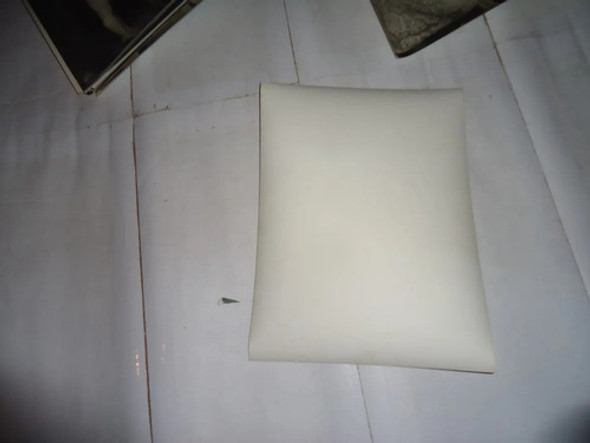 Foto Original Antigua Blanco Y Negro Delfor Dicasolo 1