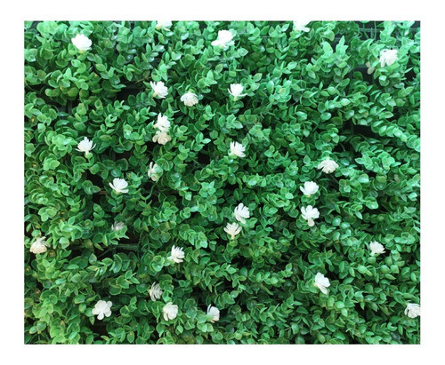 2 Paneles Césped Artificial Jardin Vertical Vegetacion 0