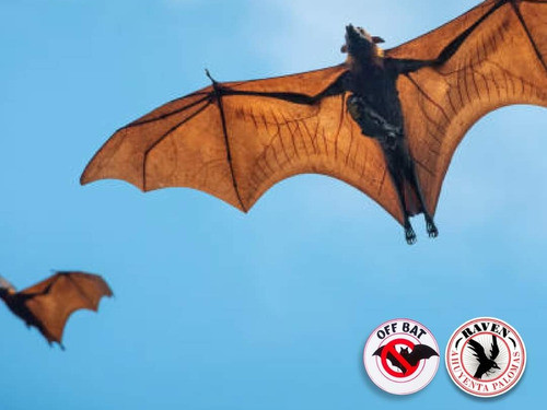 Banda Taparrollo Previene Murciélagos Off Bat Raven H2.80 M 1