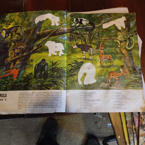 Album De Figuritas Zoo Color Los Animales De Todo El Mundo 1
