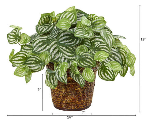 Casi Natural 13 Pulgadas. Cesta Artificial Sandía Peperomia 1