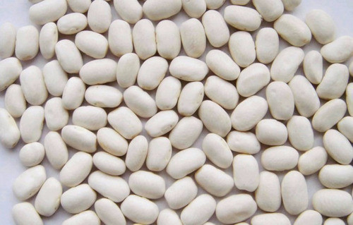 Fava Branca Peruana Graúda 5kg - Feijão Fava Branca Premium 0