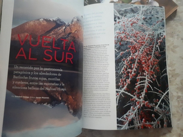 Lote 2 Revistas Elgourmet.com - El Gourmet - Dolli Irigoyen 1