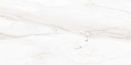 Tendenza Porc. Elegance 60 X 120 1era 1