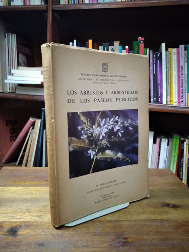 Los Arboles Y Arbustillos De Los Paseos Publicos - Lombardo 0