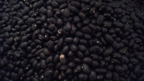 Poroto Negro X 1kg Origen Salta  Hay Stock 0
