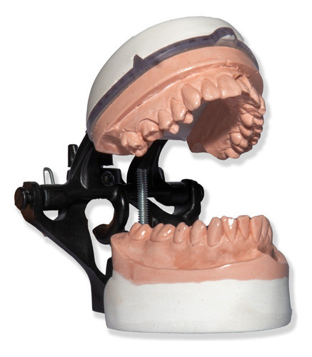Oclusor Dental Con Movilidad Lateral Para Protesis Completa 1