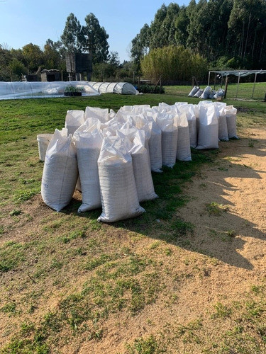 Cáscara De Arroz Limpia 0