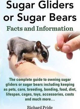 Sugar Gliders Or Sugar Bears - Richard Pride (paperback) 0