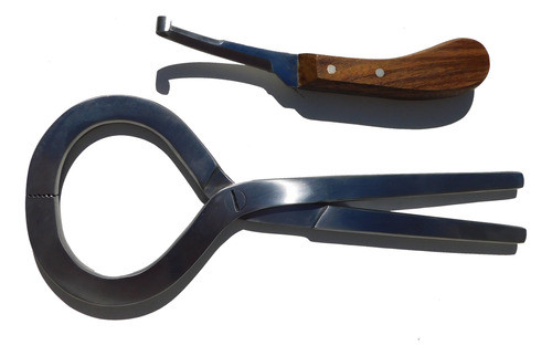Pinza De Tentar Vasos Para Equinos  + Gubia 1