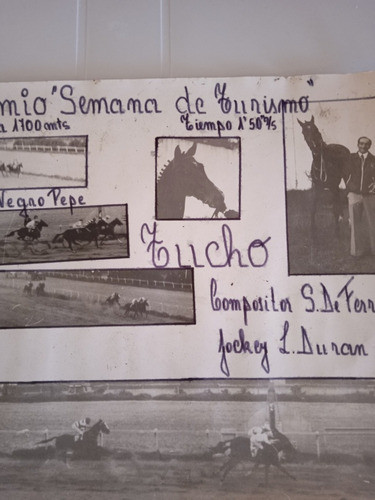 Antigua Foto Hipódromo De Maroñas Tucho Stud Negro Pepe 1