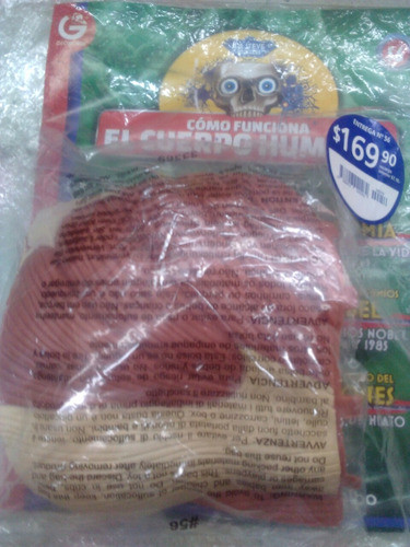 Como Funciona El Cuerpo Humano N° 56 0