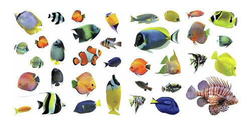 Vinilo Decorativo Pared [7h87491h] Peces Tropicales Animales 1