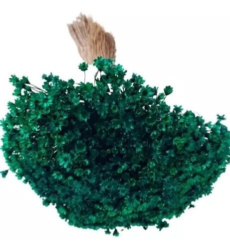 1000 Sempre Vivas Decoração Casamento Lembrança Verde Escuro 0