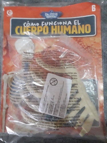 Como Funciona El Cuerpo Humano N° 6 0