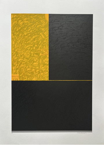 Ref. 2989 Julia Rosolen Serigrafia 1